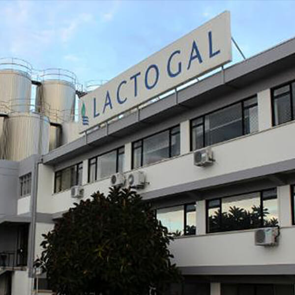 Lactogal: In search of process support and acceleration