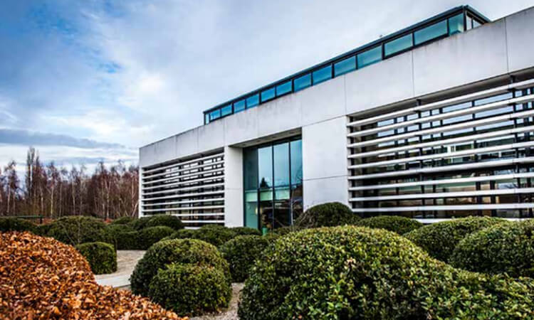 Willemen Groep: Increased workforce