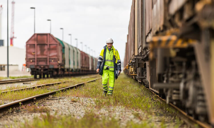 Lineas: Tailored to recruiters